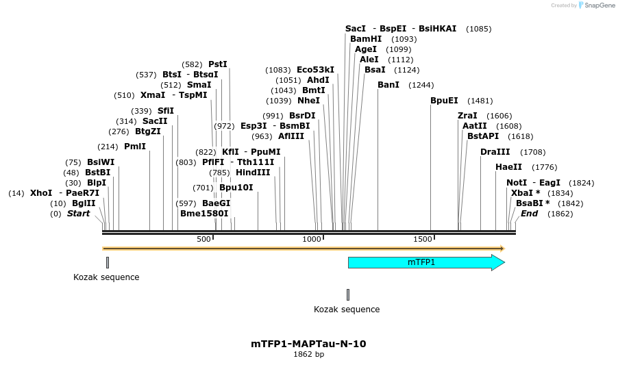 85904_map