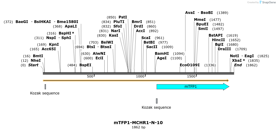 85905_map