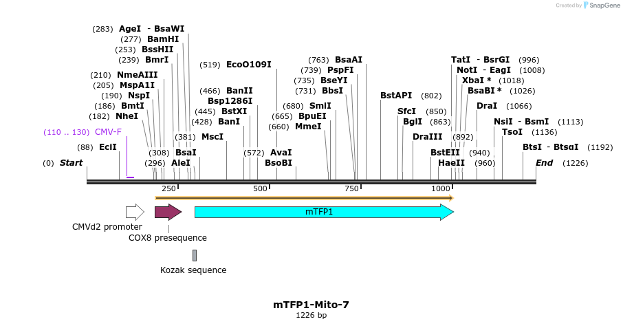 85906_map