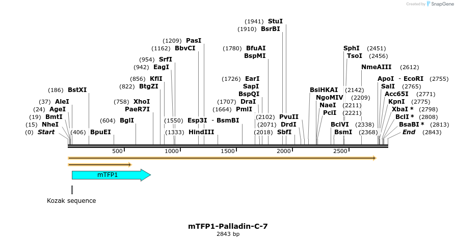 85909_map