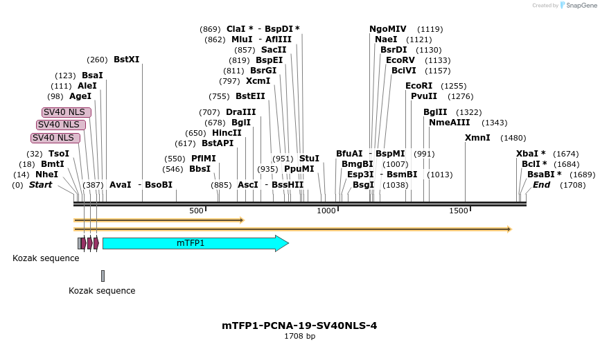 85911_map