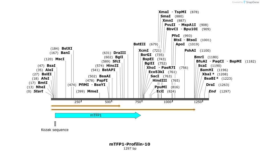 85912_map