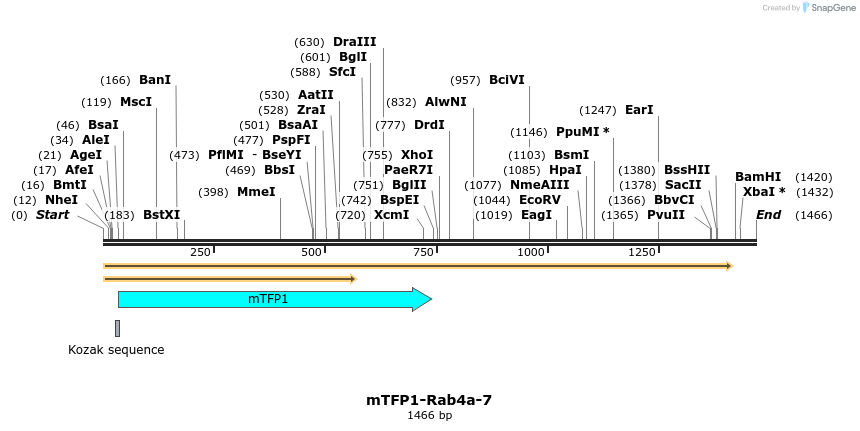 85913_map