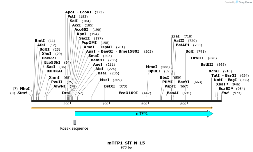 85914_map