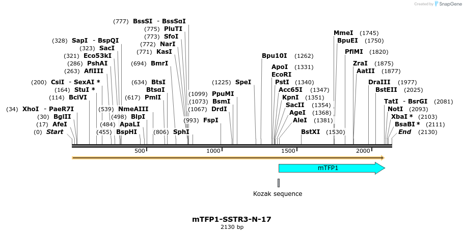 85915_map