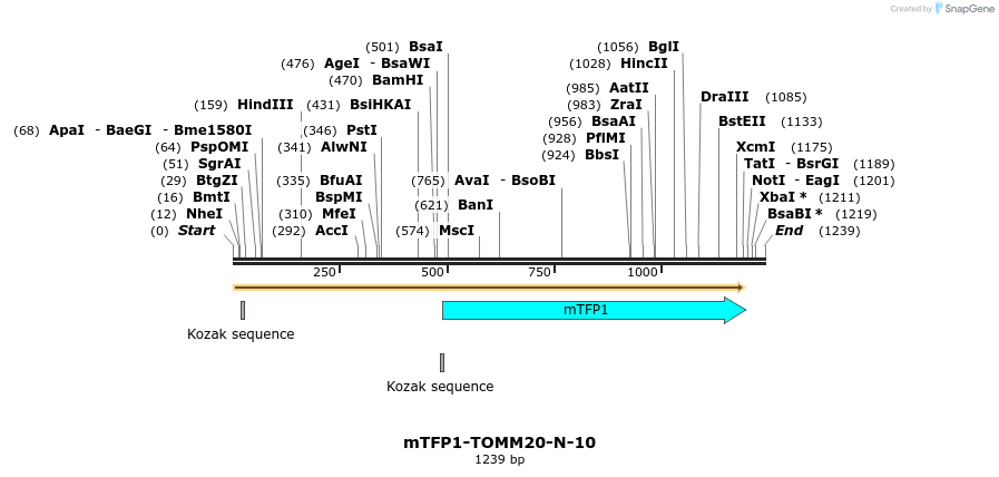 85917_map