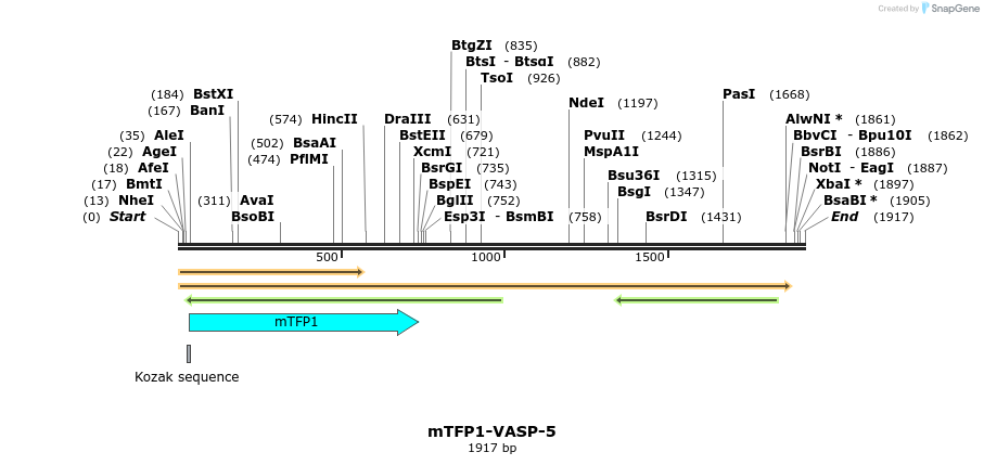 85920_map