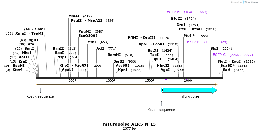 85931_map