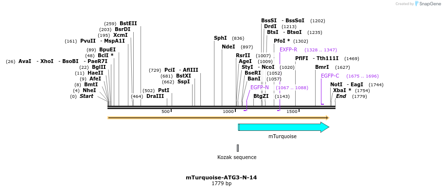 85934_map