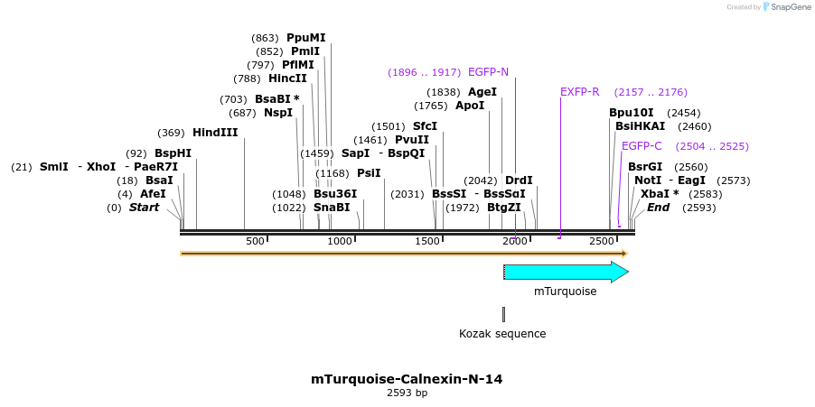 85947_map