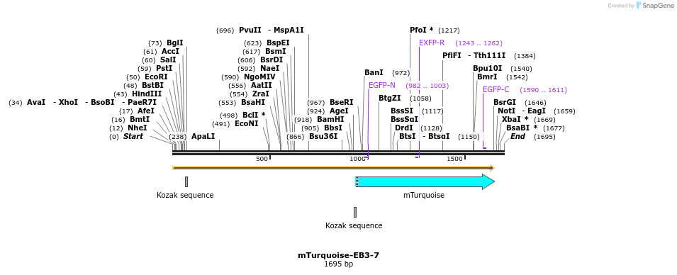 85955_map
