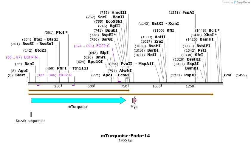 85956_map