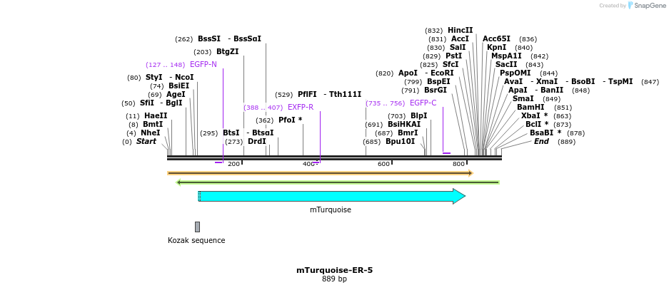 85957_map