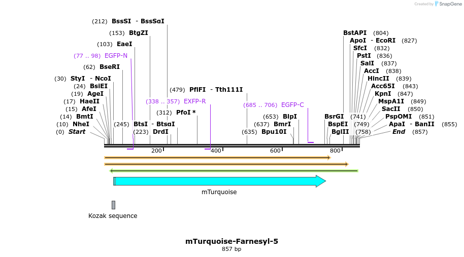 85958_map