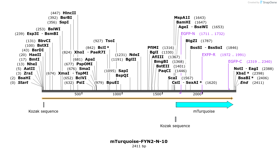 85961_map