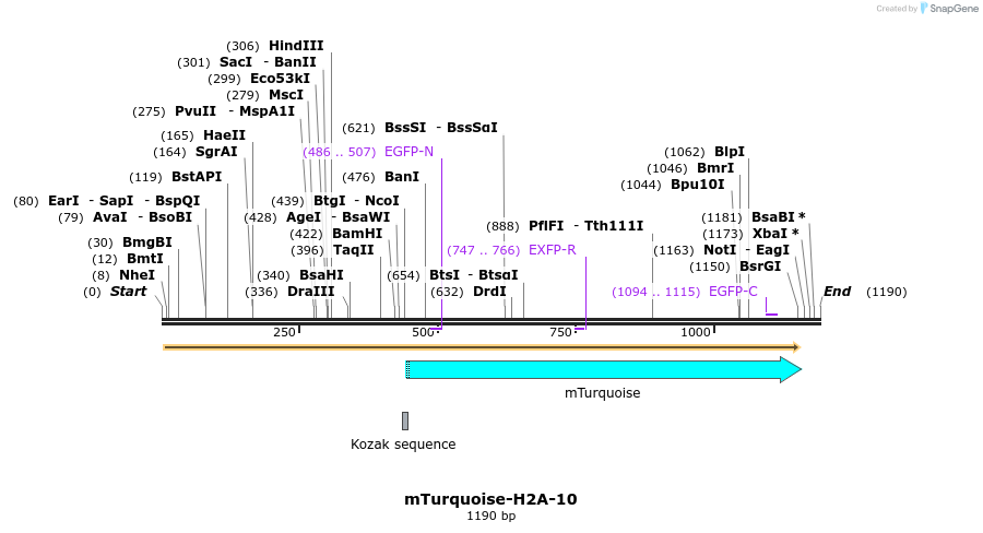 85963_map