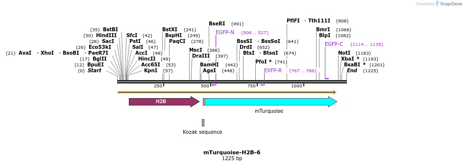 85964_map
