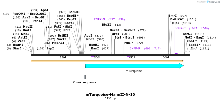 85976_map
