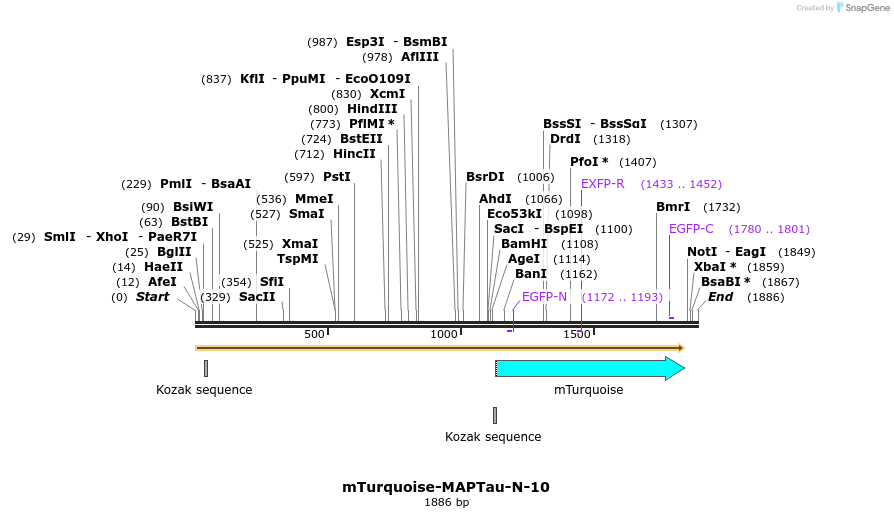 85977_map