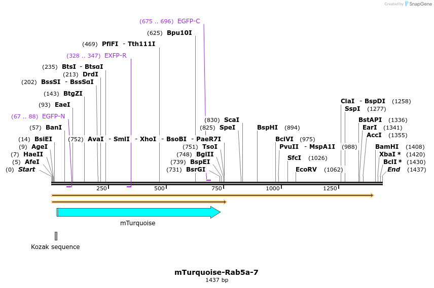 85985_map