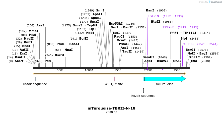 85989_map