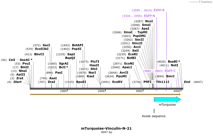 85994_map