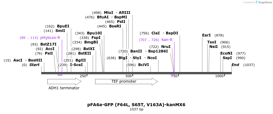 86001_map