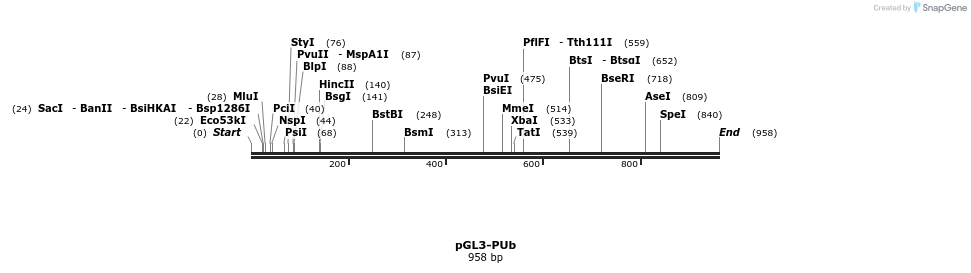 86005_map