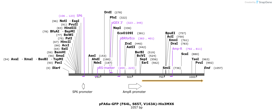 86007_map