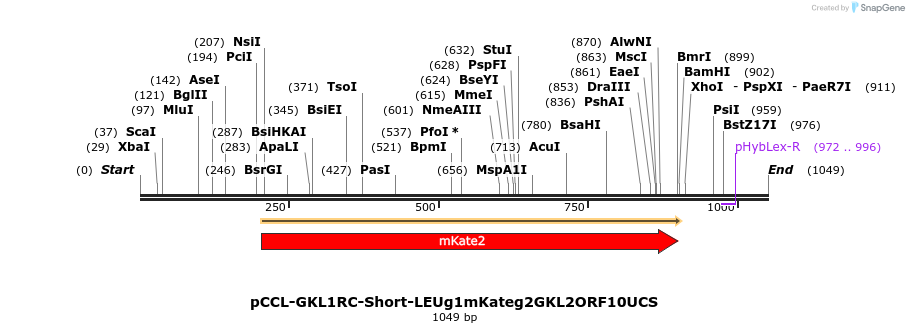 86010_map