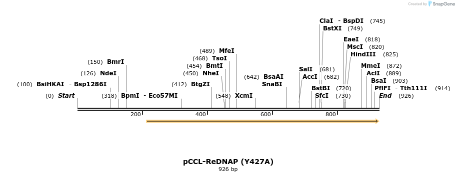 86019_map