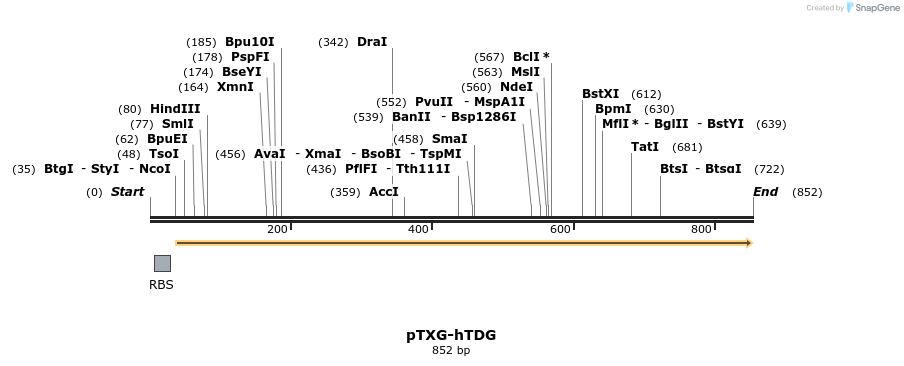 86027_map