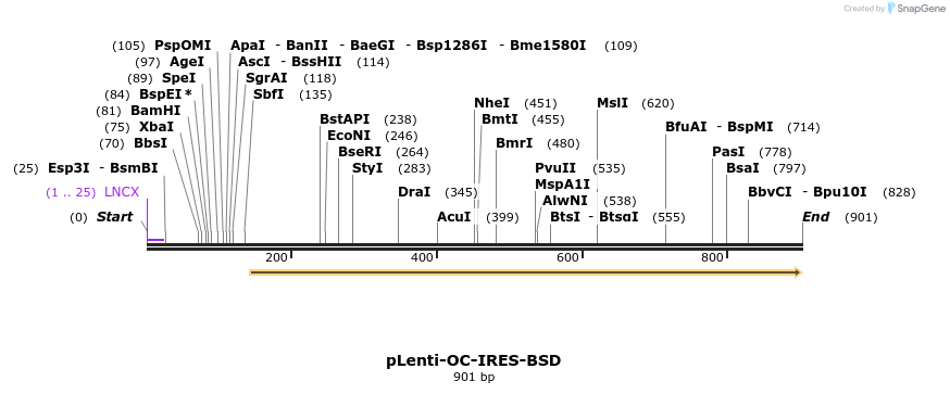 86030_map