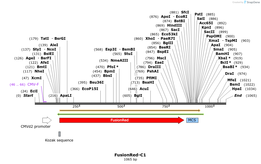 86038_map