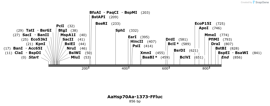 86041_map