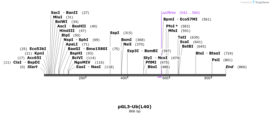 86042_map