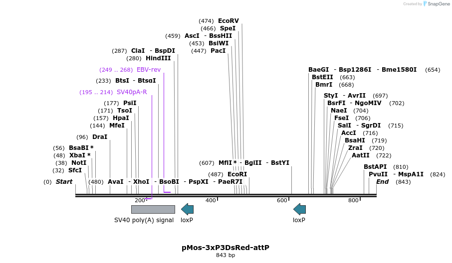 86044_map