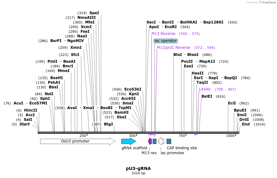 86050_map