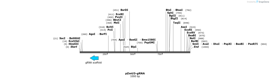 86051_map