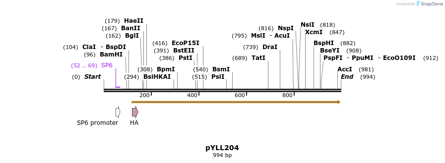 86053_map