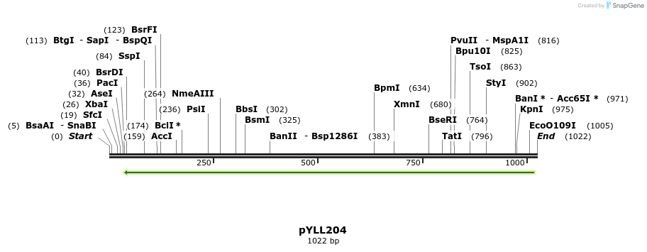 86054_map