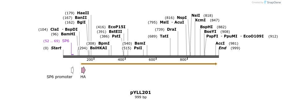 86055_map