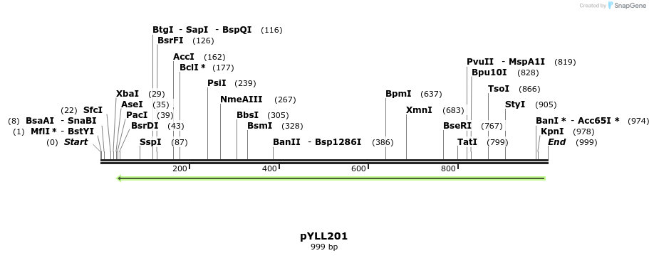 86056_map