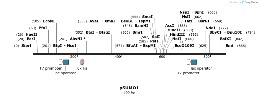 86058_map