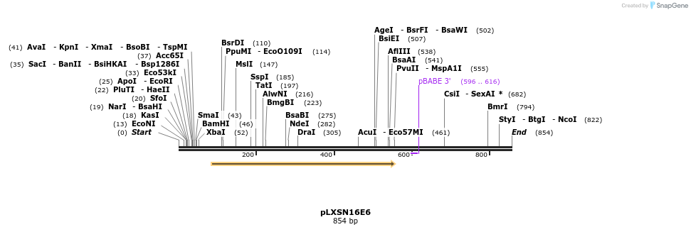 86059_map