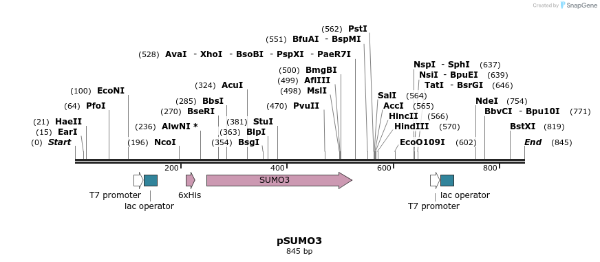 86060_map
