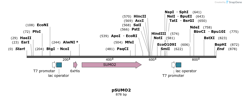 86062_map