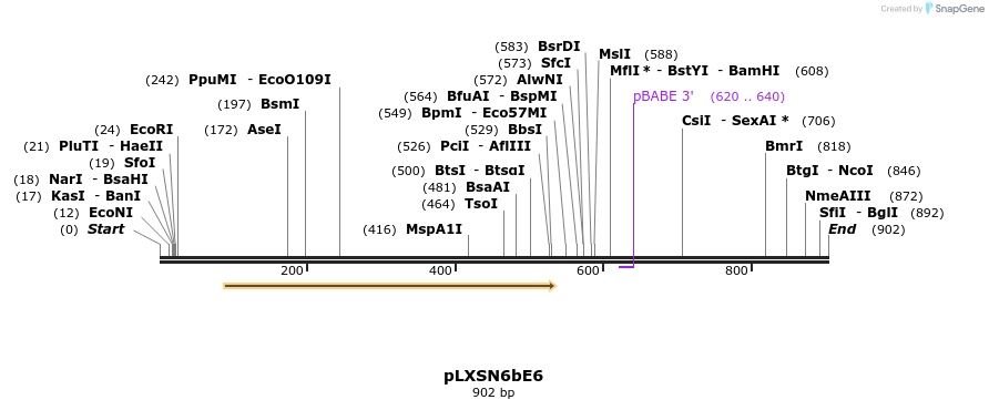 86063_map