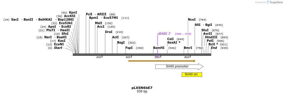 86065_map