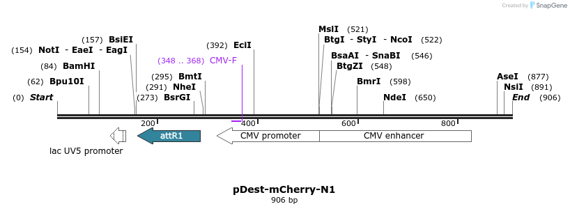 86077_map